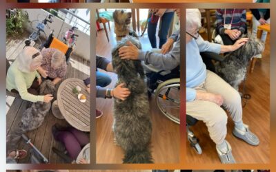 Hundebesuch im Kreisaltenheim Trostberg