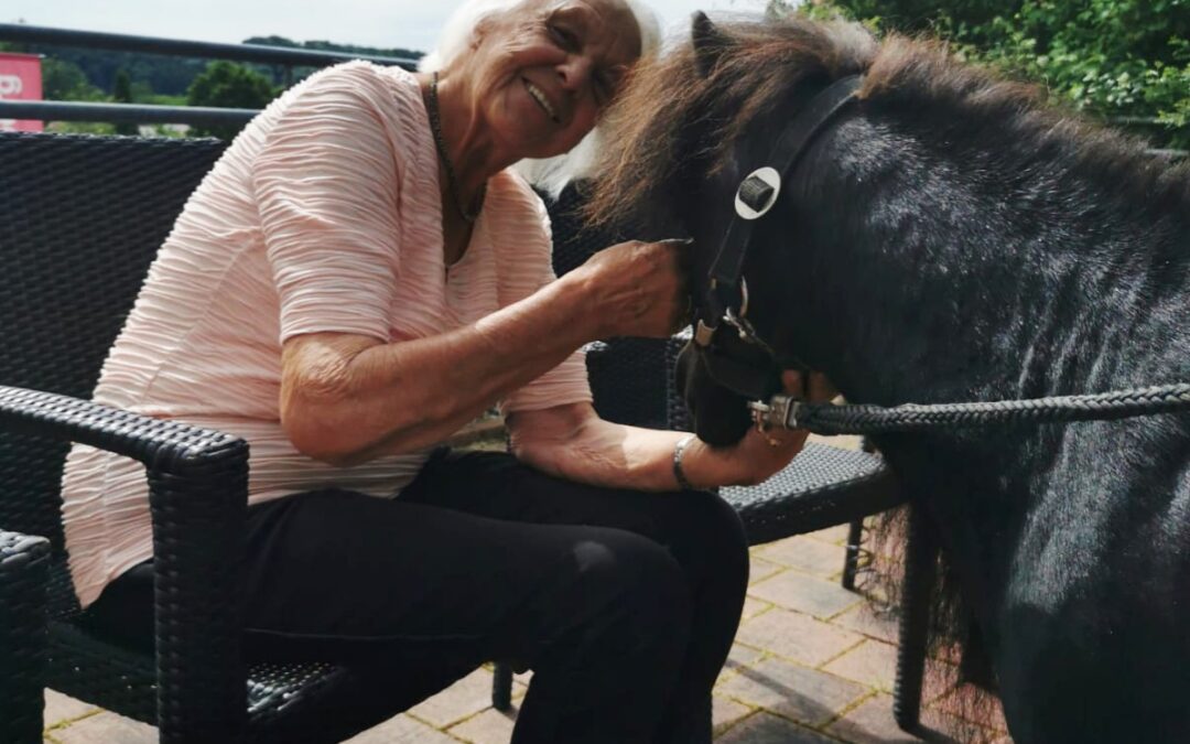 Pferdebesuch im Kreisaltenheim Trostberg