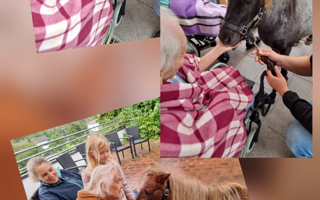 Pferdebesuch im Kreisaltenheim Trostberg