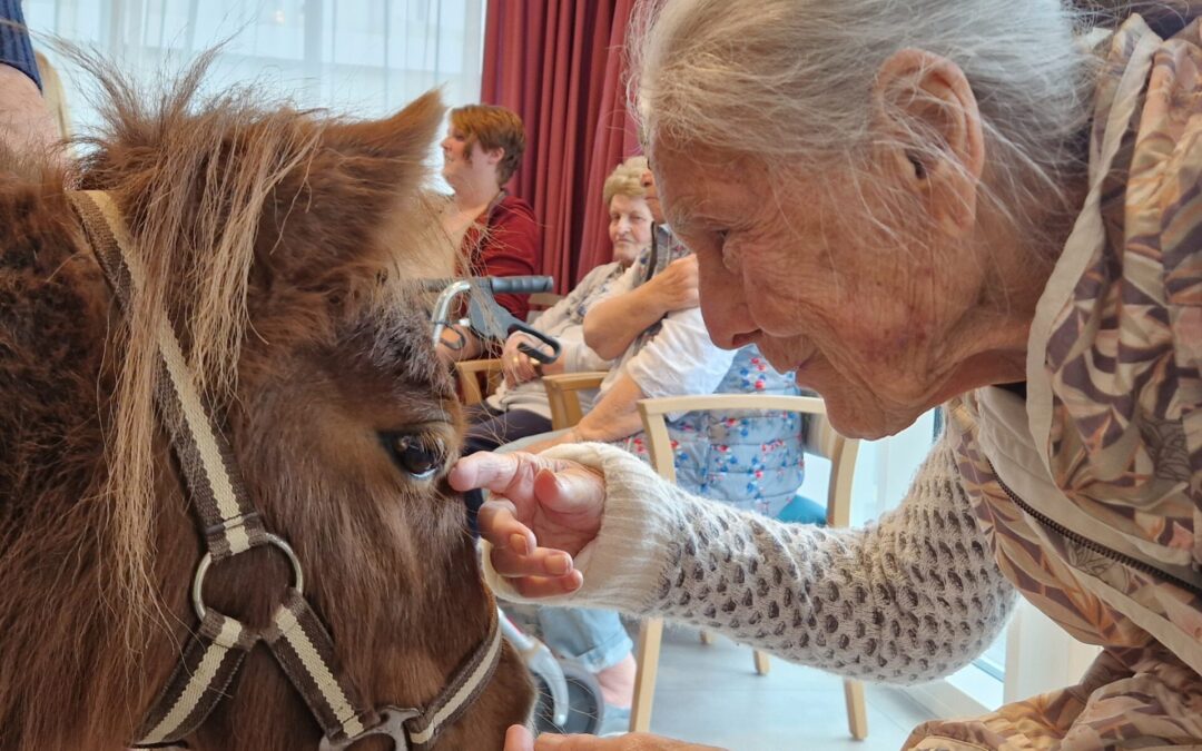 Ponybesuch im Kreisaltenheim Palling