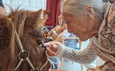 Ponybesuch im Kreisaltenheim Palling