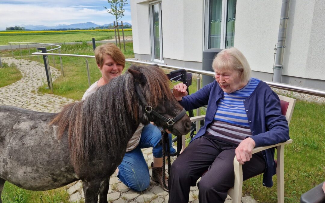 Ponybesuch im Kreisaltenheim Palling