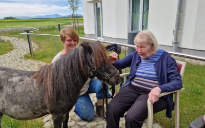 Ponybesuch im Kreisaltenheim Palling