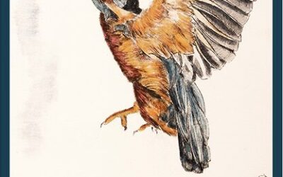 Kunstausstellung „Die Schöpfung“ im Kreisaltenheim Grabenstätt